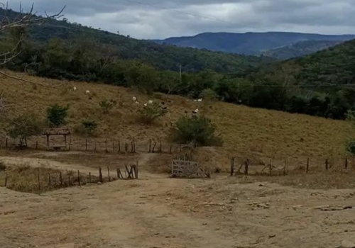 Fazenda Salas Na Zona Rural Sn Zona Rural Almenara Mg Id