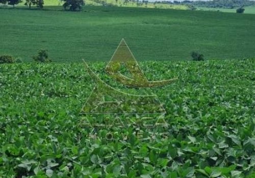 Fazenda Sala Na Rea Rural De Passos Passos Mg Id