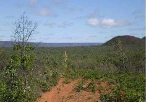 Fazenda Na Zona Rural Formosa Do Rio Preto BA ID 14349798