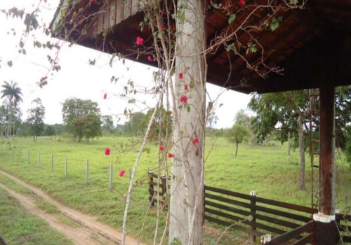 Fazenda Na Rodovia Estadual Mt Zona Rural Juara Mt Id