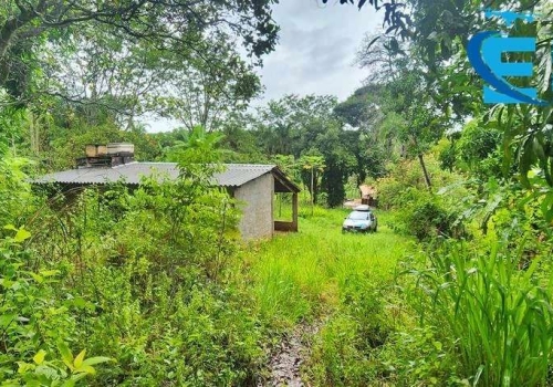 Chácara sítio 1 quarto na RODOVIA BR 452 Área Rural de