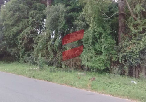 Terreno Na Avenida Prefeito Maur Cio Fruet Cajuru Curitiba Pr