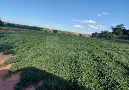 Chácaras à venda na Zona Rural em Dobrada Chaves na Mão