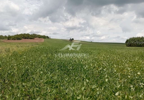 Fazendas Venda No Zona Rural Em Floresta Chaves Na M O