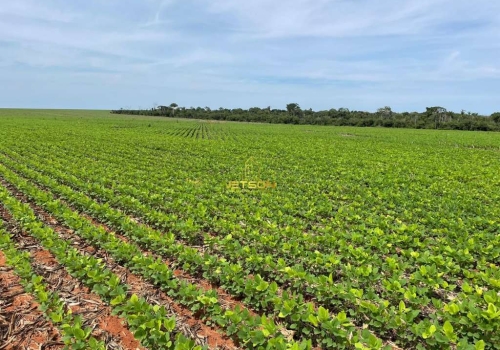 Fazendas Venda Em Ipiranga Do Norte Mt Chaves Na M O