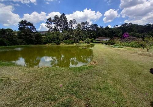 Casas Venda Na Zona Rural Em S O Paulo Chaves Na M O