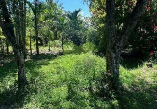 Chácaras à venda no Fazenda Brasil em Silva Jardim Chaves na Mão