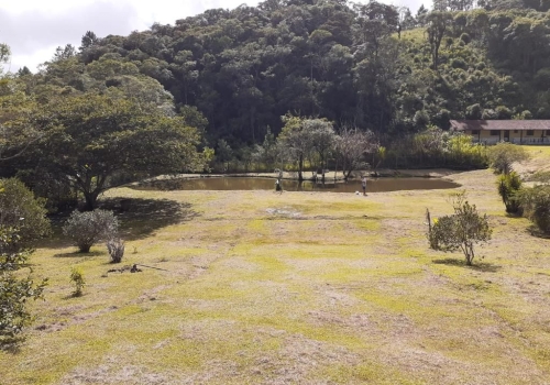 Ch Caras Venda No Verava Em Ibi Na Chaves Na M O