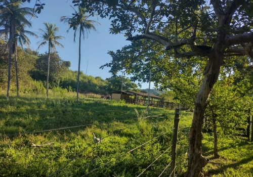 Ch Caras Venda Na Penha Do Cassiano Em Governador Valadares Chaves