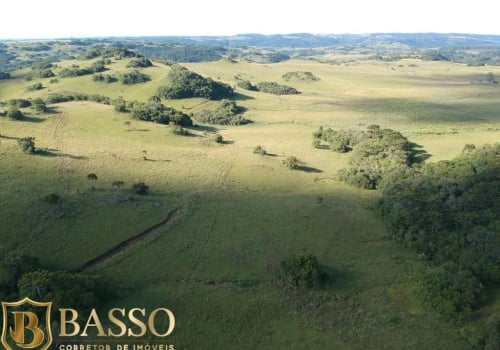 Im Veis Venda No Cazuza Ferreira Em S O Francisco De Paula Chaves