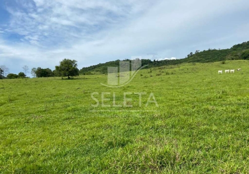 Fazendas à venda na Zona Rural em Catanduvas Chaves na Mão