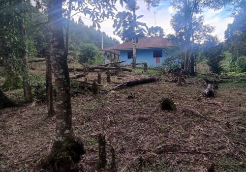 Chácaras direto o proprietário à venda na Estrada Principal em