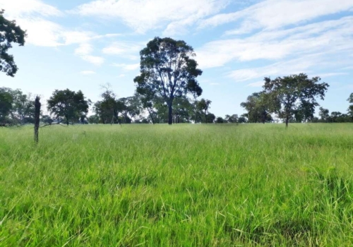 Fazendas à venda na Zona Rural em Itapagipe Chaves na Mão