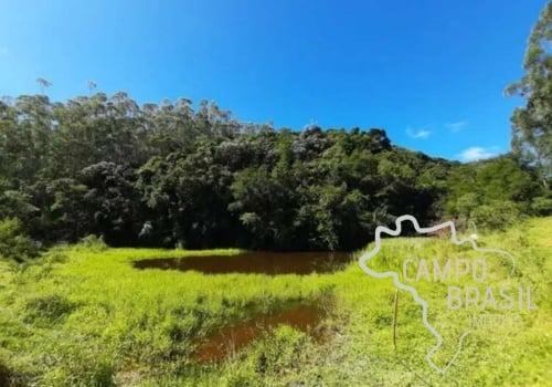 Im Veis Residenciais Venda Na Zona Rural Em Santa Branca Chaves Na M O