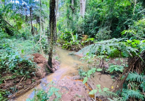 Ch Caras Direto O Propriet Rio Venda Na Zona Rural Em Piracaia