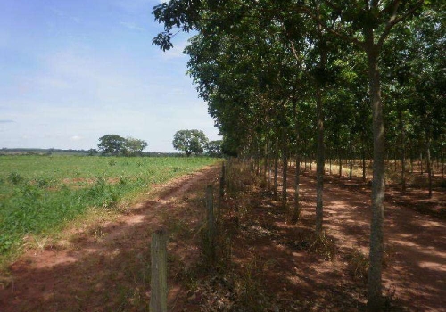 Fazendas à venda no Centro em Ipiguá Chaves na Mão