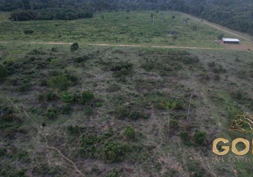 Fazendas à venda em Zona Rural em Alta Floresta Chaves na Mão