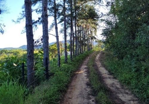 Ch Caras Direto O Propriet Rio Venda No Centro Em Iguape Chaves