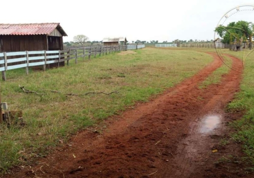 Fazendas à venda na Zona Rural em General Carneiro Chaves na Mão