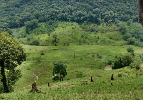 Ch Caras Direto O Propriet Rio Venda Na Zona Rural Em Sete Barras