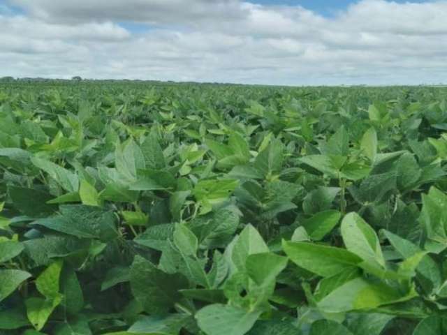 Fazenda Na Rodovia Estadual S N Zona Rural Itaquira Ms Id