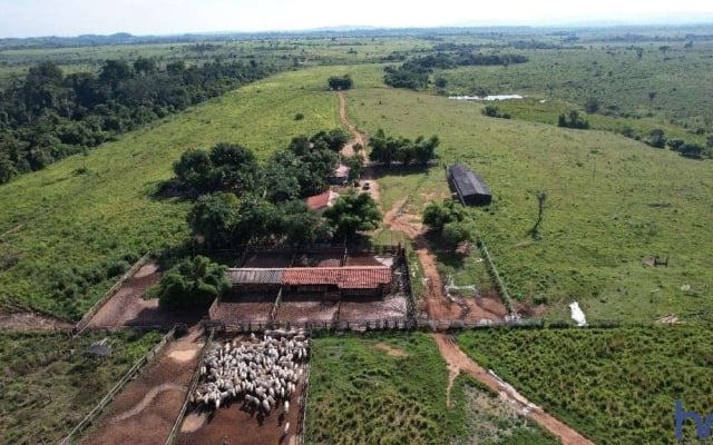 Fazenda na Estrada Municipal de São Félix do Xingu km 60 Zona Rural