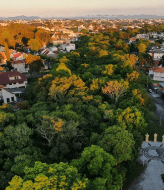 Conheça o Bairro Jardim Social