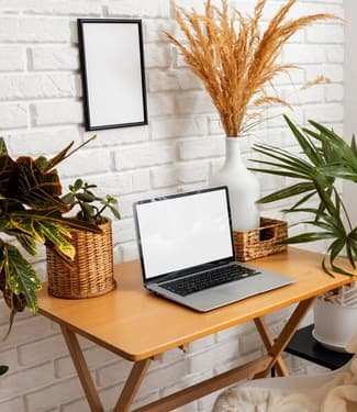 13 dicas de plantas para deixar seu home office muito mais inspirador e agradável