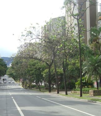 Como é Morar no Bairro Sion? Belo Horizonte/ MG