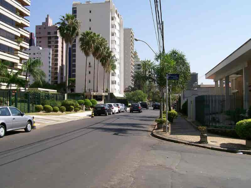 Como é Morar no Bairro Cambuí? Campinas/ SP