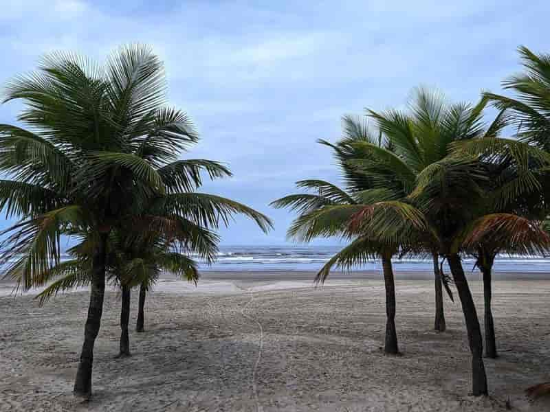 Como é Morar no Bairro Balneário Maracanã? Praia Grande/ SP