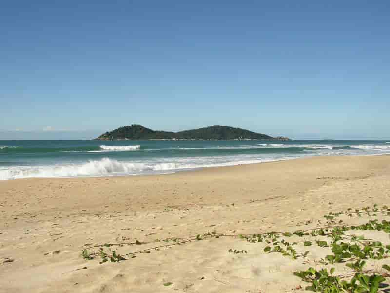 Como é Morar no Bairro Campeche? Florianópolis/ SC