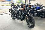 HARLEY-DAVIDSON XL 883N IRON à venda