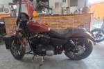 HARLEY-DAVIDSON XL 883N IRON à venda