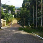 Terreno à venda na Rua Adécio Gonçalves, 225, Velha, Blumenau