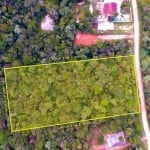 Terreno à venda, 11000 m² por R$ 450.000,00 - Área Rural de São José dos Pinhais - São José dos Pinhais/PR