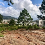 Terreno em condomínio fechado à venda na Rua Rodrigo Rampinelli Jeremias, 172, Itacorubi, Florianópolis