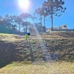 Terreno em condomínio fechado à venda na Rua Pedro Cruzetta, 295, Augusta, Curitiba