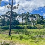 Chácara / sítio com 2 quartos à venda na ESTRADA DA BARRAGEM, 18, Planta Entremar, Piraquara