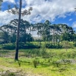 Chácara / sítio com 2 quartos à venda na ESTRADA DA BARRAGEM, 18, Planta Entremar, Piraquara