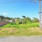 Terreno à venda na RUA ALAIS DE FATIMA ZAPF, 01, Dom Rodrigo, São José dos Pinhais