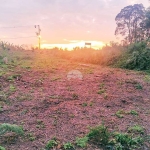 Terreno à venda na Rua do Jacarandá, 14, Parque do Embu, Colombo