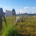 Terreno à venda na ESTRADA PRINCIPAL, 7, Campo Largo da Roseira, São José dos Pinhais