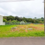 Casa em condomínio fechado com 4 quartos à venda na Rua Francisco Alves Ferreira, 640, Vila Glória, Campo Largo