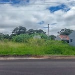 Terreno comercial à venda na Rua Vereador Augustinho Cúnico, 1067, Rondinha, Campo Largo