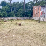 Terreno em condomínio fechado à venda na Rua Maria Geronasso do Rosário, 608, Vila Maria do Rosário, Colombo