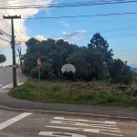 Terreno à venda na Rua Professor Alberto Piekas, 3379, Colônia Vila Prado, Almirante Tamandaré