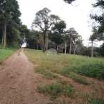 Chácara / sítio à venda na Rua Projetada I, S/N, Industrial, Guarapuava