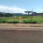 Terreno à venda na RUA EDINEI SEBASTIAO DOMINGUES, 220, Industrial, Guarapuava