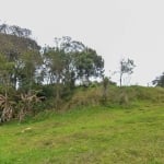 Chácara / sítio com 3 quartos à venda na Rua Amadeu Santos, 502, Planta Laranjeiras, Piraquara